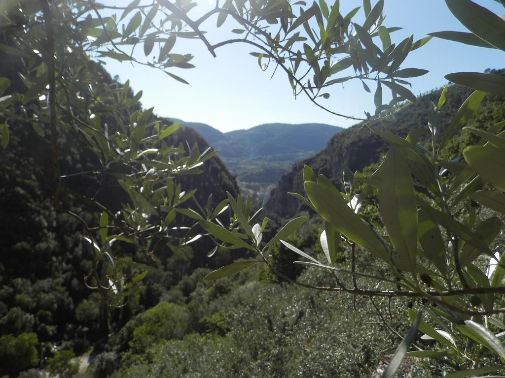 Residenza Di Paese Castello Del Poggio Hotel Ferentillo ภายนอก รูปภาพ