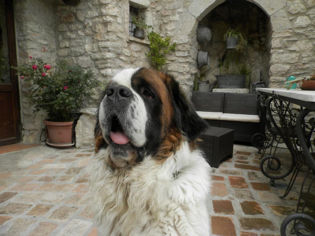 Residenza Di Paese Castello Del Poggio Hotel Ferentillo ภายนอก รูปภาพ