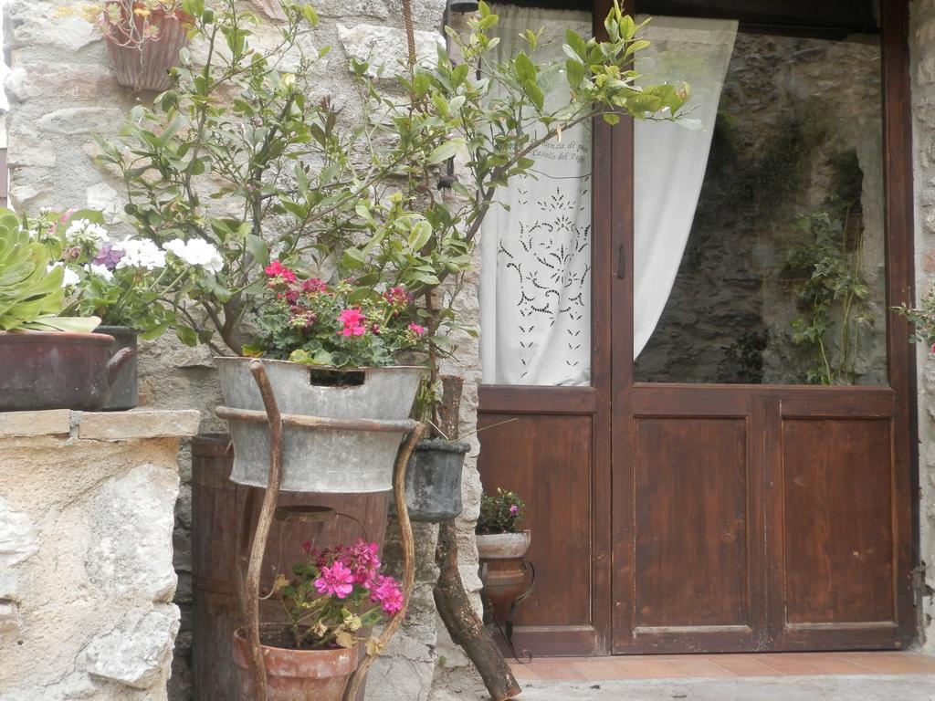 Residenza Di Paese Castello Del Poggio Hotel Ferentillo ภายนอก รูปภาพ