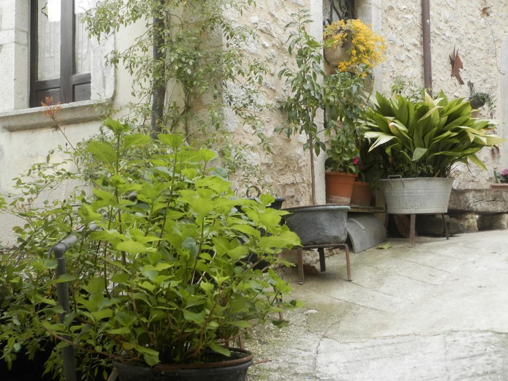 Residenza Di Paese Castello Del Poggio Hotel Ferentillo ภายนอก รูปภาพ